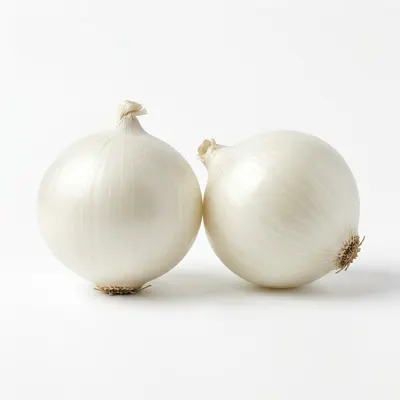 Oignons Blancs